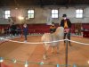 DSCN2773