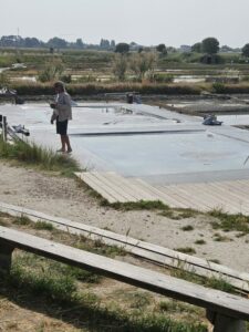 Sortie scolaire: à la découverte des marais salants