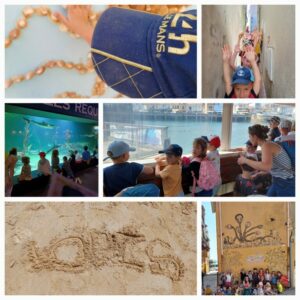 Sortie scolaire de fin d’année : aquarium de Talmont et visite aux Sables d’Olonne
