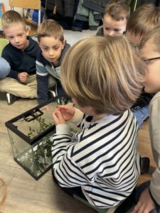 A la découverte des phasmes d’Ethan